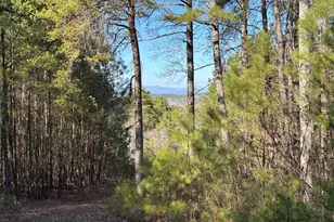 3 West Dry Pond Rd, Ranger, GA 30734 - Photo 1