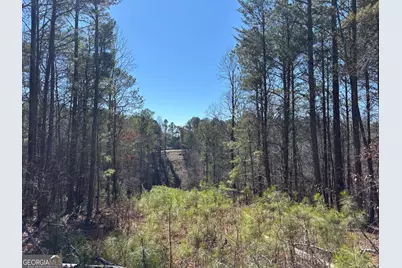 3 West Dry Pond Road LOT #3 WEST, Ranger, GA 30734 - Photo 11