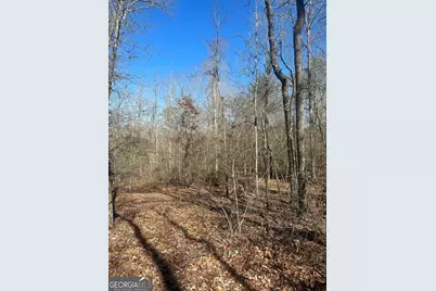 0 Summit View Road, Jackson, GA 30233 - Photo 7