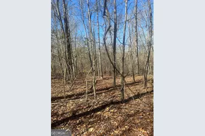 0 Summit View Road, Jackson, GA 30233 - Photo 3