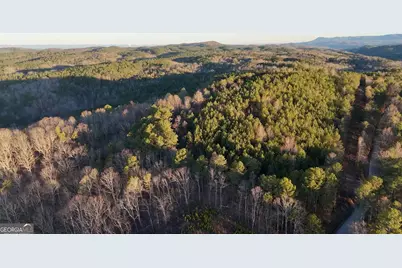 4 West Dry Pond Road LOT #4 WEST, Ranger, GA 30734 - Photo 5