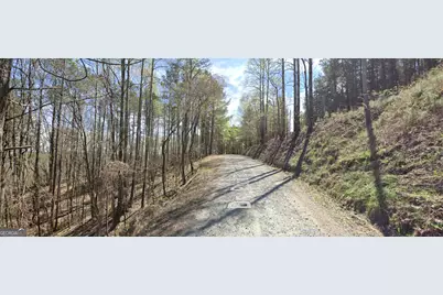 4 West Dry Pond Road LOT #4 WEST, Ranger, GA 30734 - Photo 11