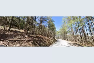 5 West Dry Pond Road LOT #5 WEST, Ranger, GA 30734 - Photo 13