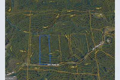 5 West Dry Pond Road LOT #5 WEST, Ranger, GA 30734 - Photo 5
