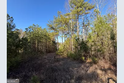5 West Dry Pond Road LOT #5 WEST, Ranger, GA 30734 - Photo 11