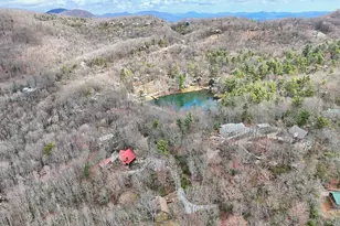 559 Maple Leaf Dr, Dillard, GA 30537 - Photo 45