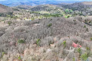 559 Maple Leaf Dr, Dillard, GA 30537 - Photo 47