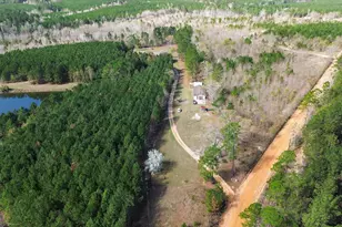 395 Winchester Rd, Sylvania, GA 30467 - Photo 49