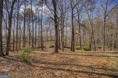 160 Vinnys Way, Covington, GA 30014 - Photo 45