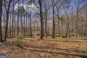 160 Vinny's Way, Covington, GA 30014 - Photo 45