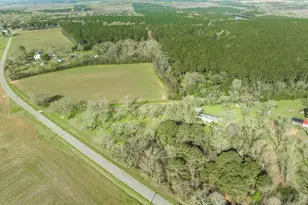 575 Grovania Rd, Hawkinsville, GA 31036 - Photo 41