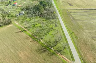 575 Grovania Rd, Hawkinsville, GA 31036 - Photo 37