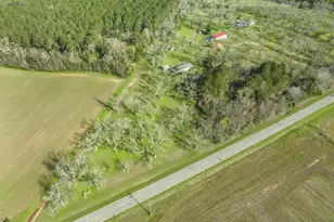 575 Grovania Rd, Hawkinsville, GA 31036 - Photo 39