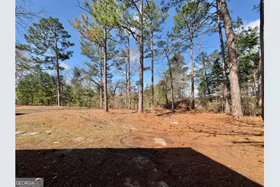 319 Greenbriar Drive, Byron, GA 31008 - Photo 43