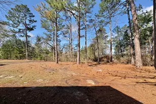 319 Greenbriar Dr, Byron, GA 31008 - Photo 43