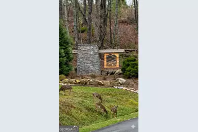 377 S Jakes Landing Way, Ellijay, GA 30540 - Photo 35