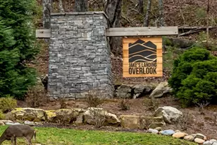 377 S Jakes Landing Way, Ellijay, GA 30540 - Photo 35