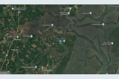 1151 Fiddlers Cove, Shellman Bluff, GA 31331 - Photo 3