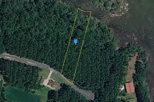 1151 Fiddlers Cv, Shellman Bluff, GA 31331 - Photo 1