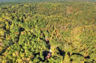 523 Long Branch Rd, Ranger, GA 30734 - Photo 49