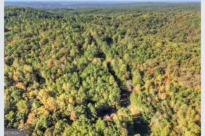 523 Long Branch Road, Ranger, GA 30734 - Photo 3