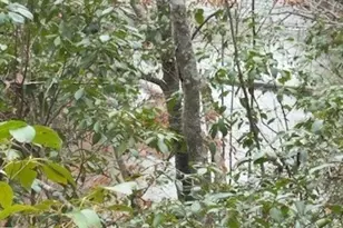 00 Lot1 N Helton Rd, Winston, GA 30187 - Photo 7