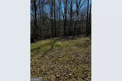 250 Glenn Mill Farm Road, Franklin, GA 30217 - Photo 17