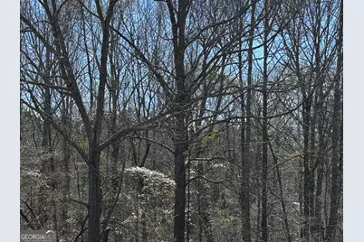 250 Glenn Mill Farm Road, Franklin, GA 30217 - Photo 11