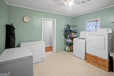 195 Mollie Bowen Lane, Cobbtown, GA 30420 - Photo 9