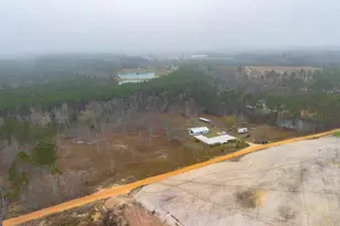 195 Mollie Bowen Ln, Cobbtown, GA 30420 - Photo 29