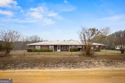 195 Mollie Bowen Lane, Cobbtown, GA 30420 - Photo 1