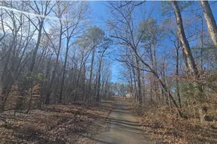 124 Puckett Rd SE, Emerson, GA 30137 - Photo 15