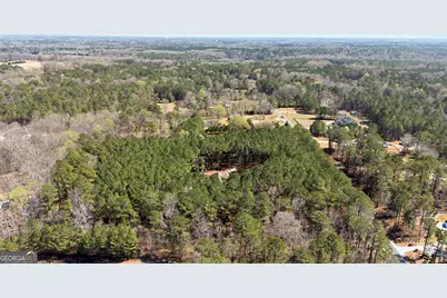 771 Goza Road, Fayetteville, GA 30215 - Photo 97