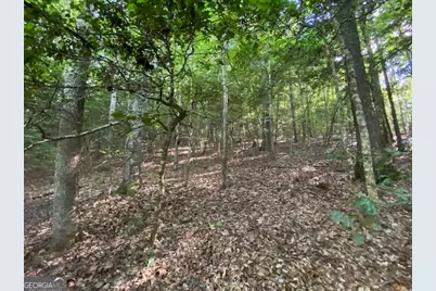 0 Hicks Gap Road, Blairsville, GA 30512 - Photo 3