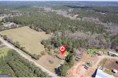 3021 Penfield Road, Greensboro, GA 30642 - Photo 43