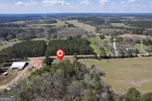 3021 Penfield Rd, Greensboro, GA 30642 - Photo 47