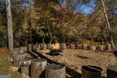 1248 Sunset Road, Epworth, GA 30541 - Photo 49