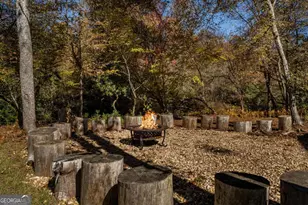 1248 Sunset Rd, Epworth, GA 30541 - Photo 49