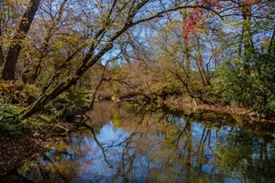 1248 Sunset Rd, Epworth, GA 30541 - Photo 7