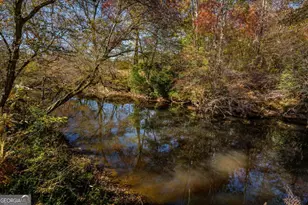 1248 Sunset Rd, Epworth, GA 30541 - Photo 53
