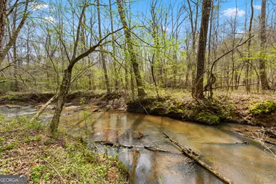 1229 Boggus Road, Franklin, GA 30217 - Photo 59
