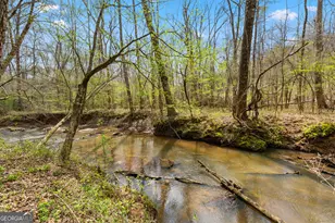 1229 Boggus Rd, Franklin, GA 30217 - Photo 59