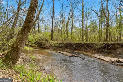 1229 Boggus Road, Franklin, GA 30217 - Photo 57