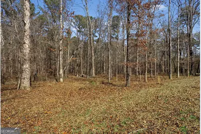 878 Gary Summers Road, Senoia, GA 30276 - Photo 33