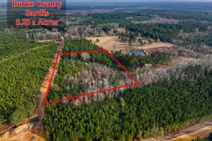 5 04+/- Acres Joyner Oglesby Rd, Sardis, GA 30456 - Photo 1