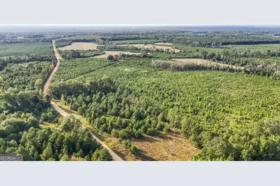 5.04+/- Acres Joyner Oglesby Road LOT #1, Sardis, GA 30456 - Photo 17