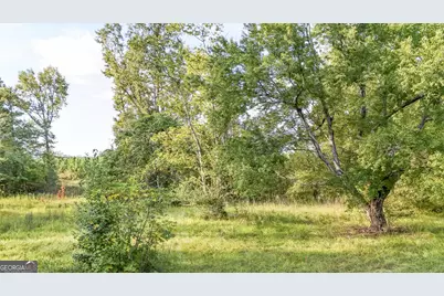 5.04+/- Acres Joyner Oglesby Road LOT #1, Sardis, GA 30456 - Photo 13