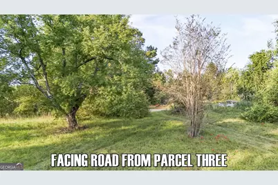 5.04+/- Acres Joyner Oglesby Road LOT #1, Sardis, GA 30456 - Photo 13