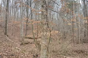 00 Lot 4 Helton Rd, Winston, GA 30187 - Photo 3