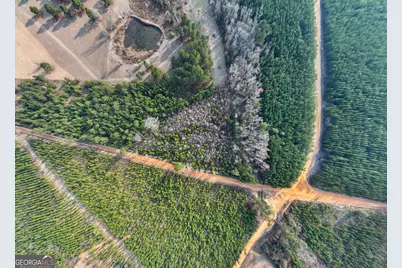 5.26+/- Acres Joyner Oglesby Road LOT #2, Sardis, GA 30456 - Photo 3